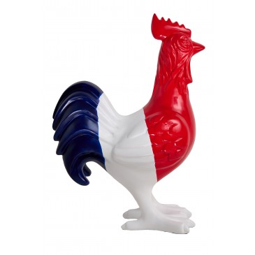 TH148 Coq France