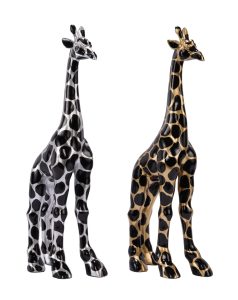 TH204 Jazz & Joy H.50 cm